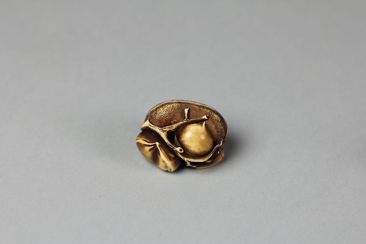 Netsuke of Group of Chestnuts, Ivory, Japan 