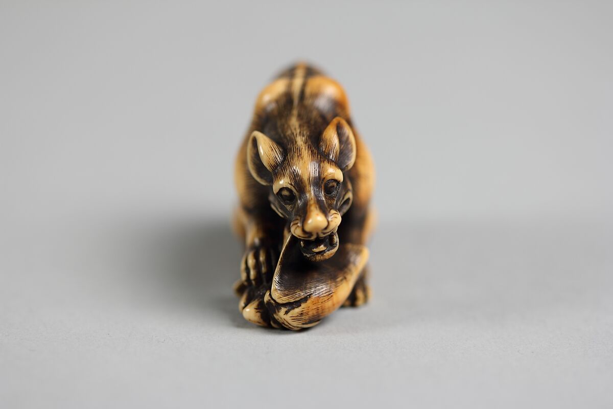 Wolf, Tomotada (Japanese, active late 18th–early 19th century), Carved ivory, Japan