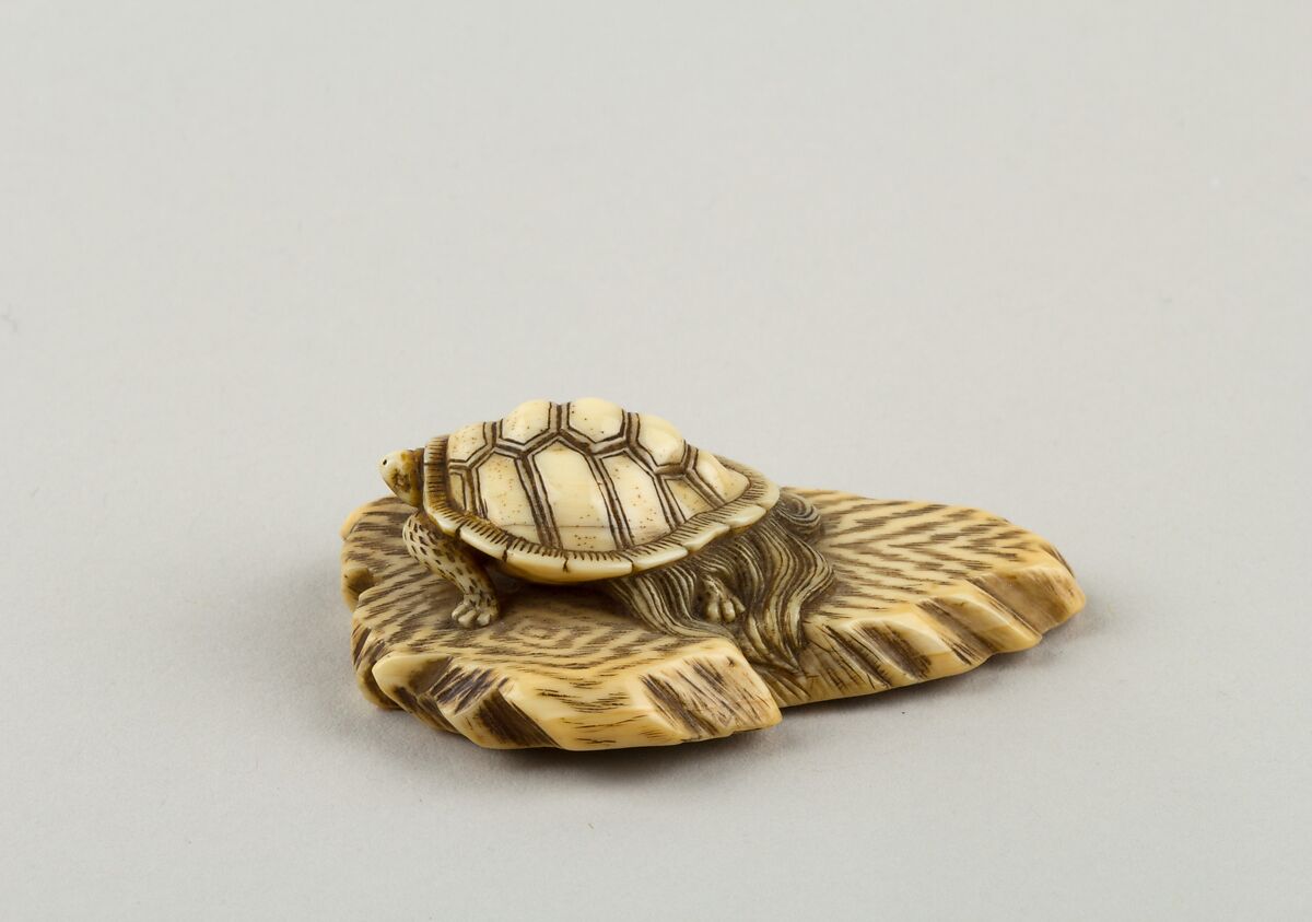 Netsuke of Turtle Crawling over a Rock, Ivory, Japan