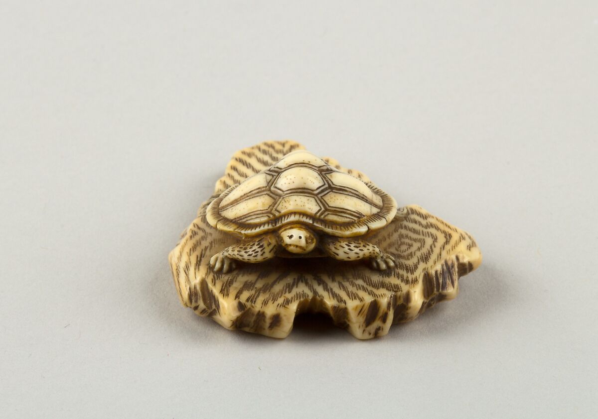 Netsuke of Turtle Crawling over a Rock, Ivory, Japan