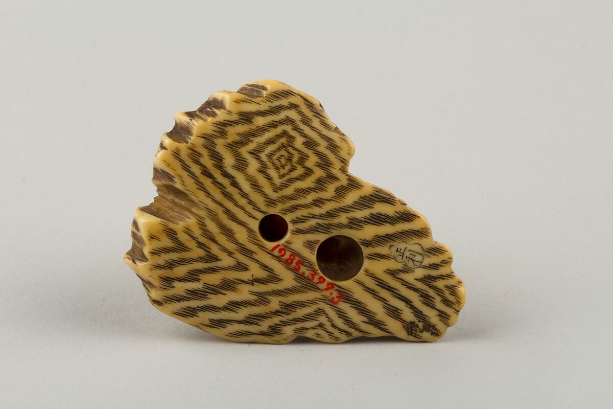 Netsuke of Turtle Crawling over a Rock, Ivory, Japan