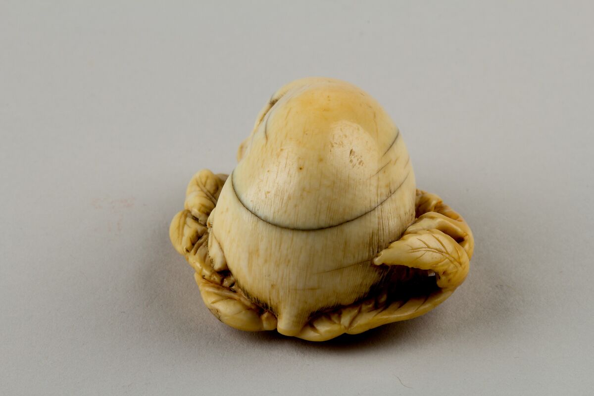 Netsuke of a Boar, Ivory, Japan