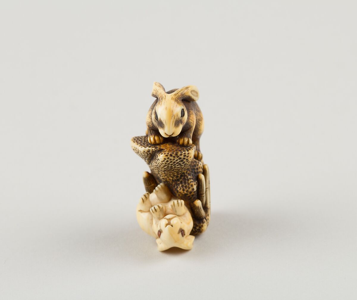 Netsuke of Two Rabbits and a Rock, Mitsuharu, Ivory; coral and horn inlay, Japan