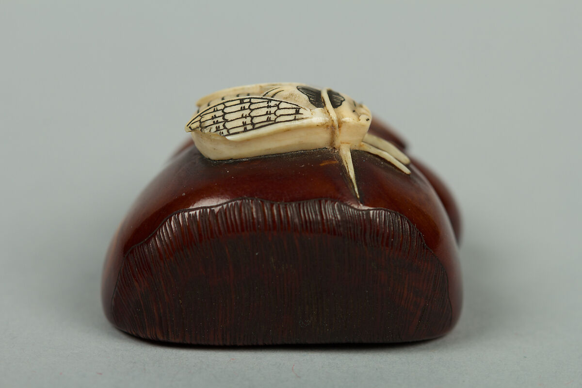 Netsuke of Chestnuts and a Fly, Ivory stained brown, Japan