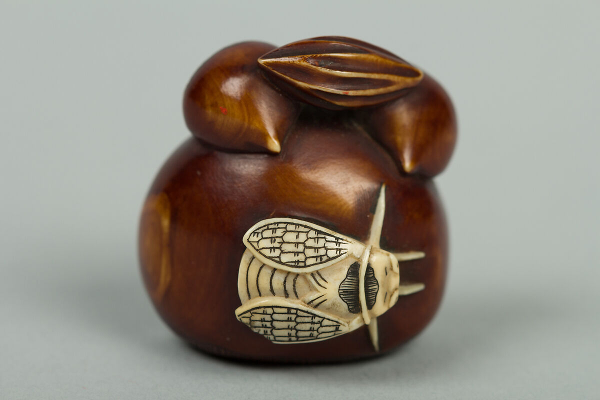 Netsuke of Chestnuts and a Fly, Ivory stained brown, Japan