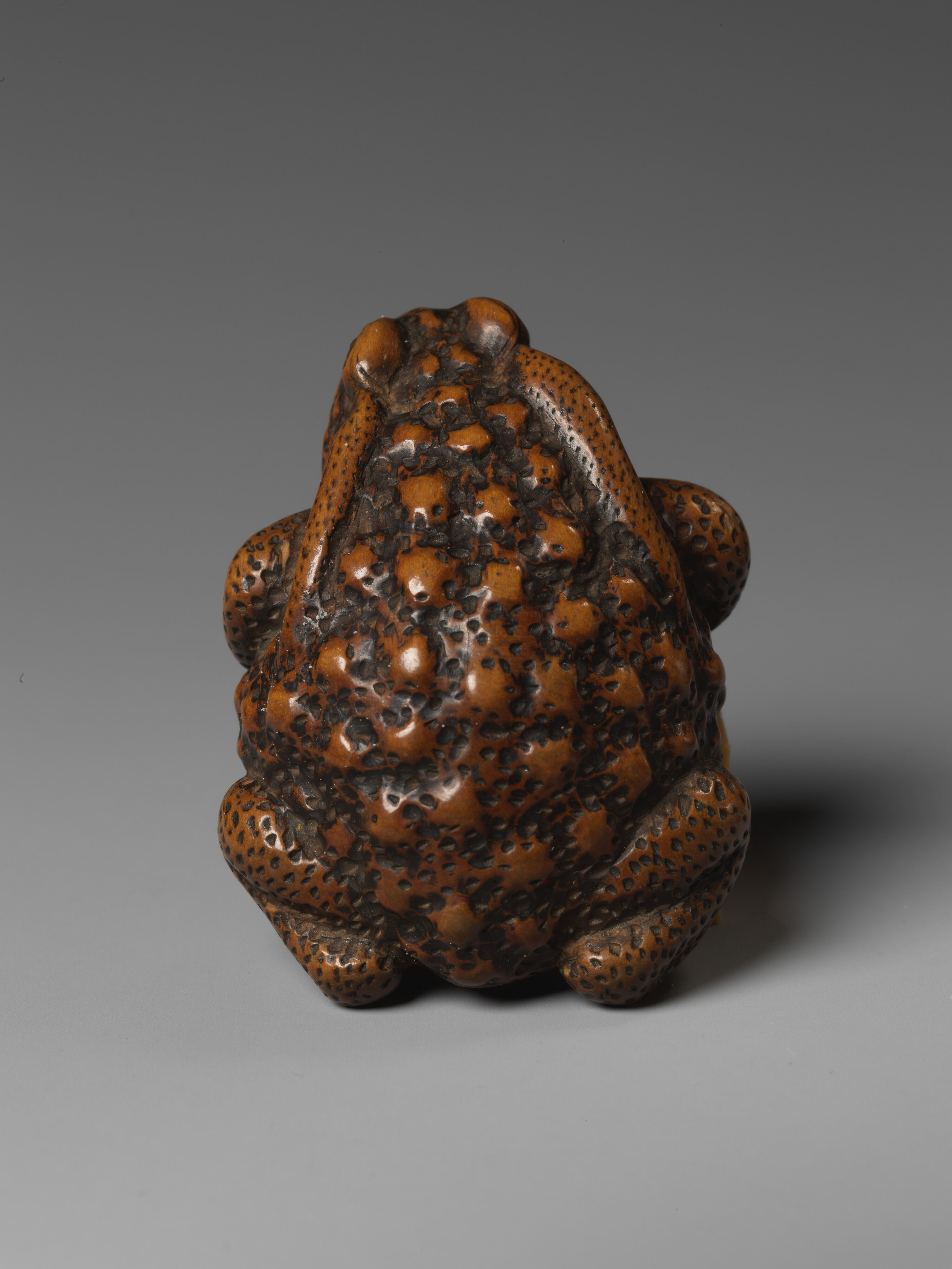 Frog - Japan - Edo (1615–1868) or Meiji period (1868–1912) - The
