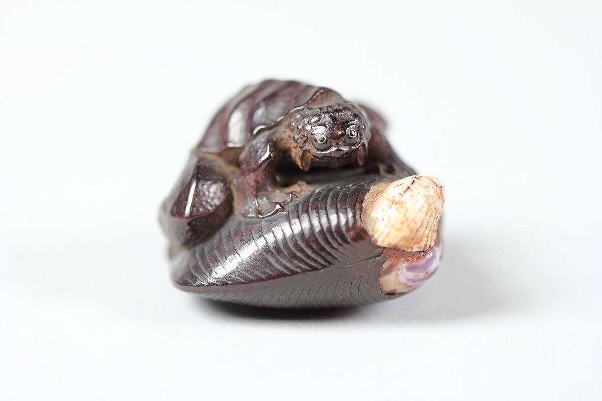 Netsuke of Frog-like Tortoise on a Shell, Wood, Japan 