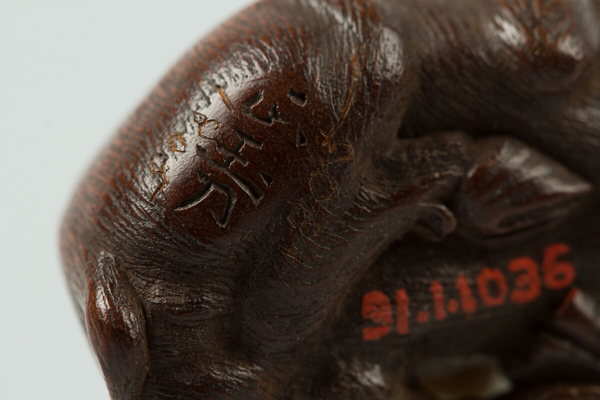 Netsuke of a Boar, Wood, Japan