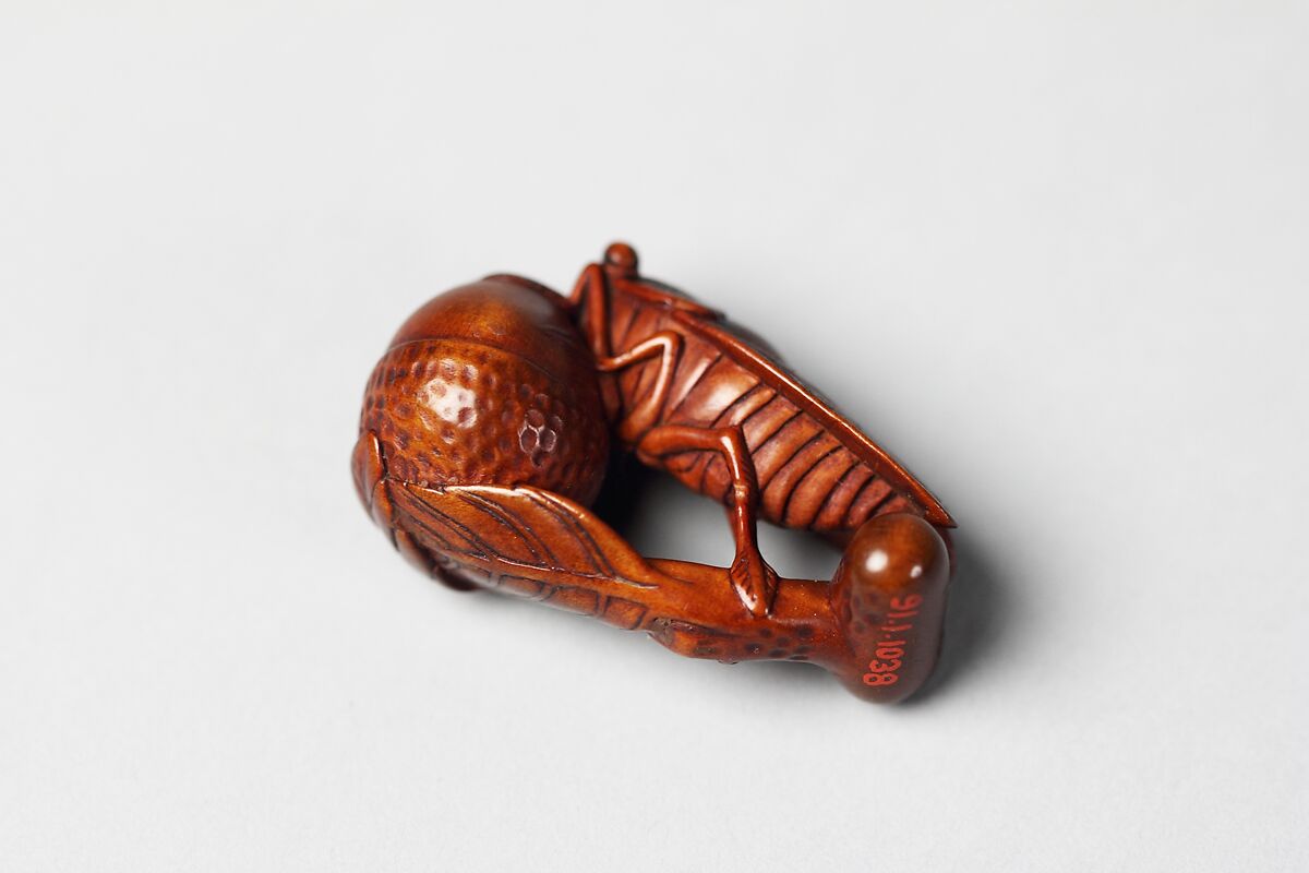 Netsuke of Fly and Acorn, Wood, Japan