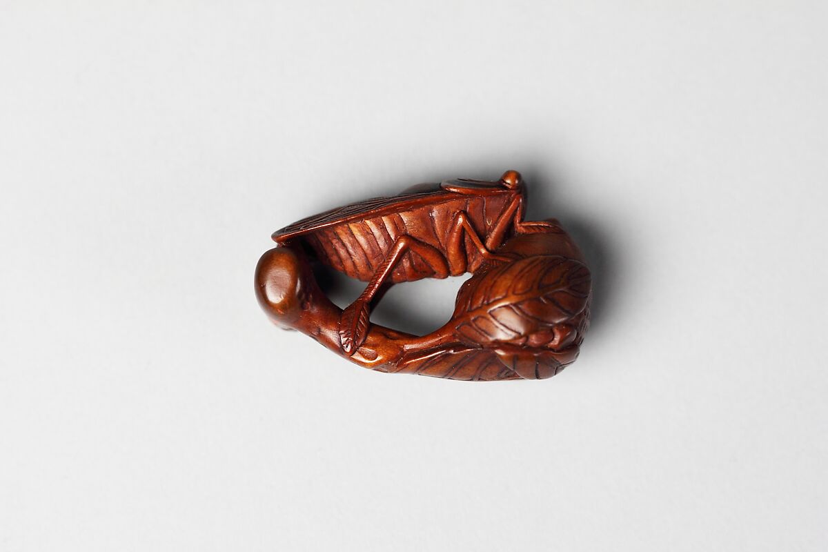 Netsuke of Fly and Acorn, Wood, Japan 