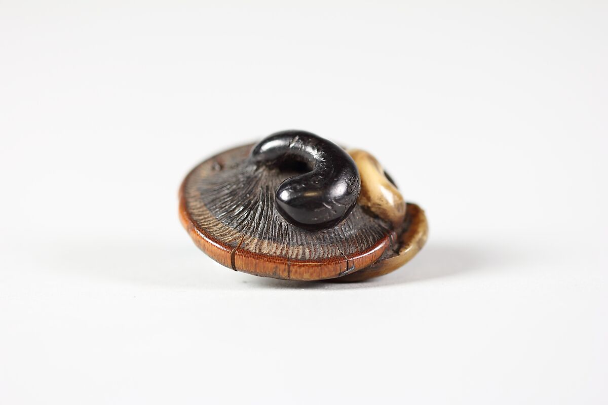 Netsuke of Mushroom Eaten by Insects, Wood with metal and horn inlay, Japan