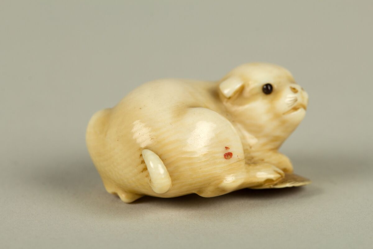 Netsuke of Dog, Ivory, Japan
