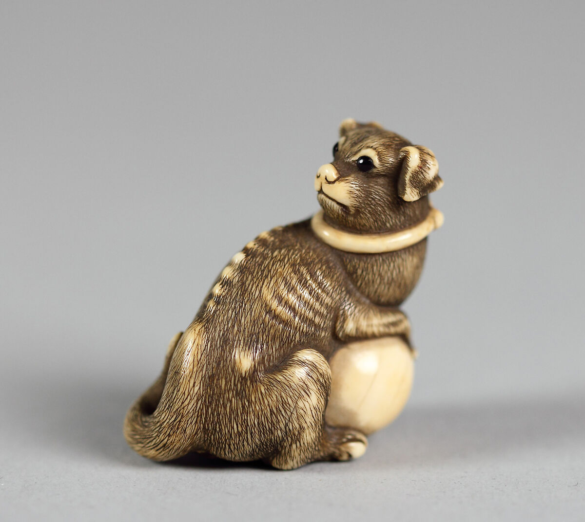 Netsuke of Cat with a Ball, Ivory, Japan 