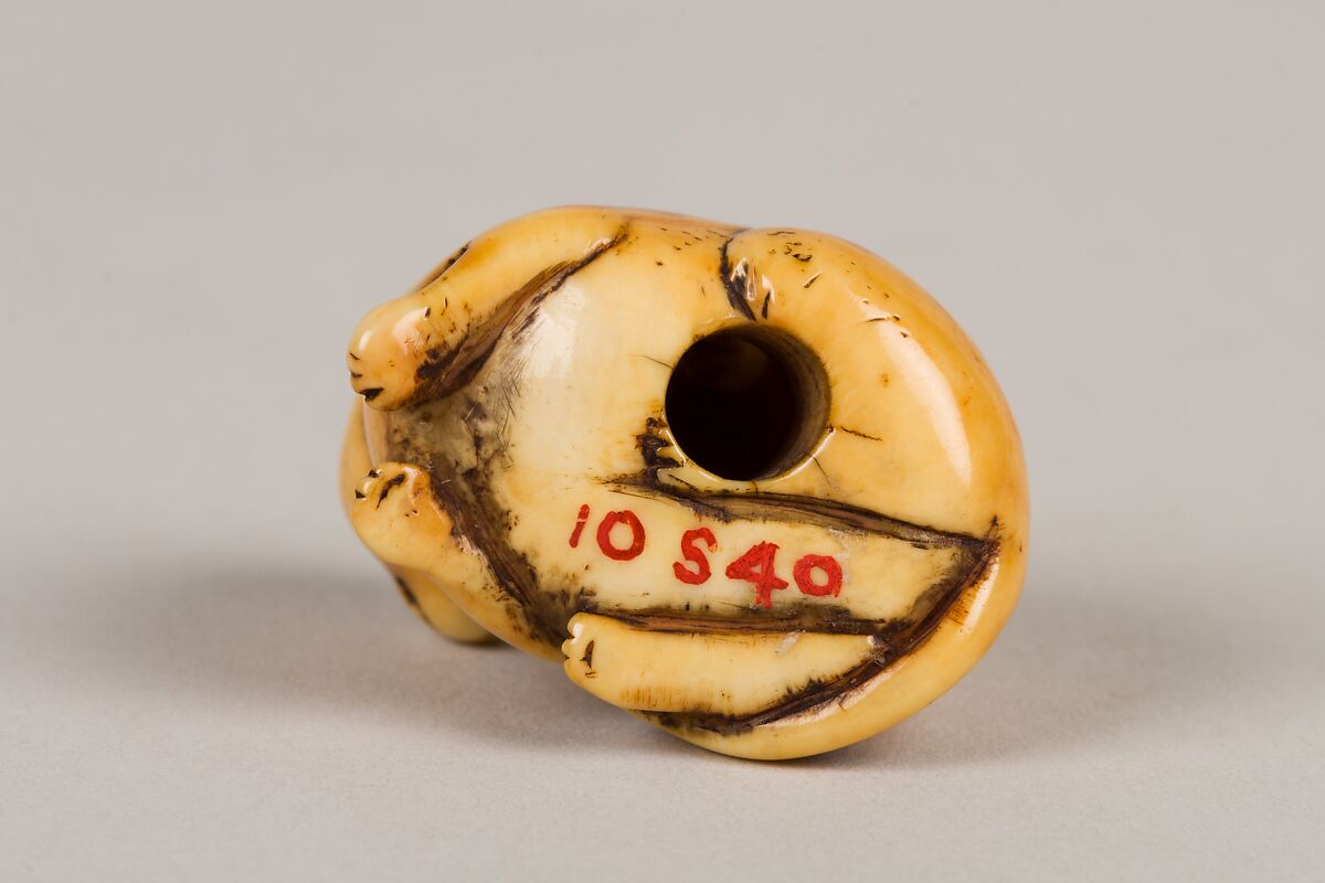 Netsuke of Cat, Ivory, Japan