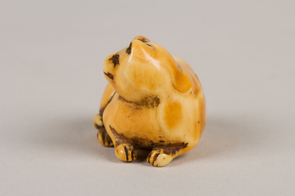 Netsuke of Cat, Ivory, Japan