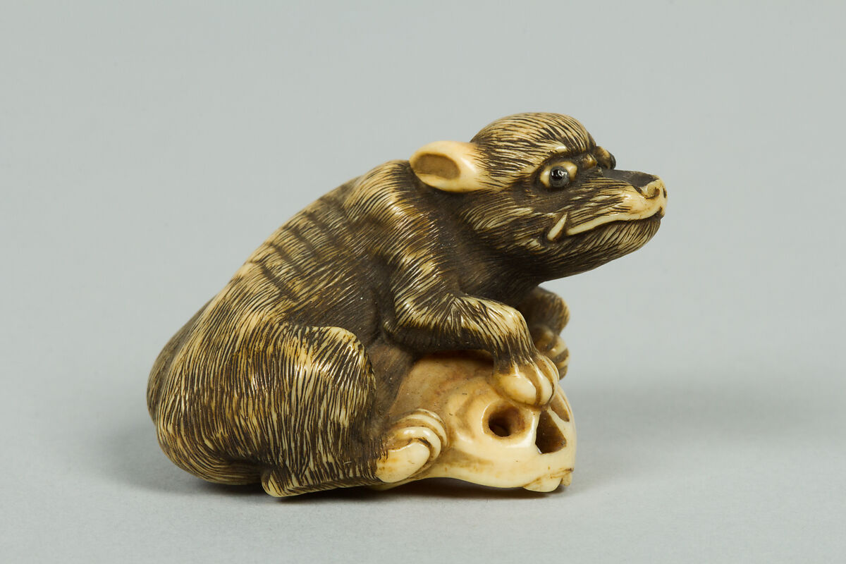 Netsuke of Boar with a Human Skull, Ivory, Japan 