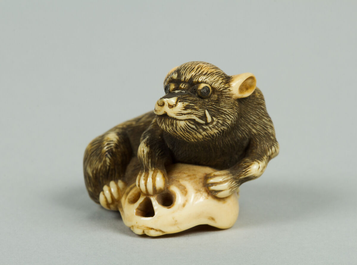 Netsuke of Boar with a Human Skull, Ivory, Japan