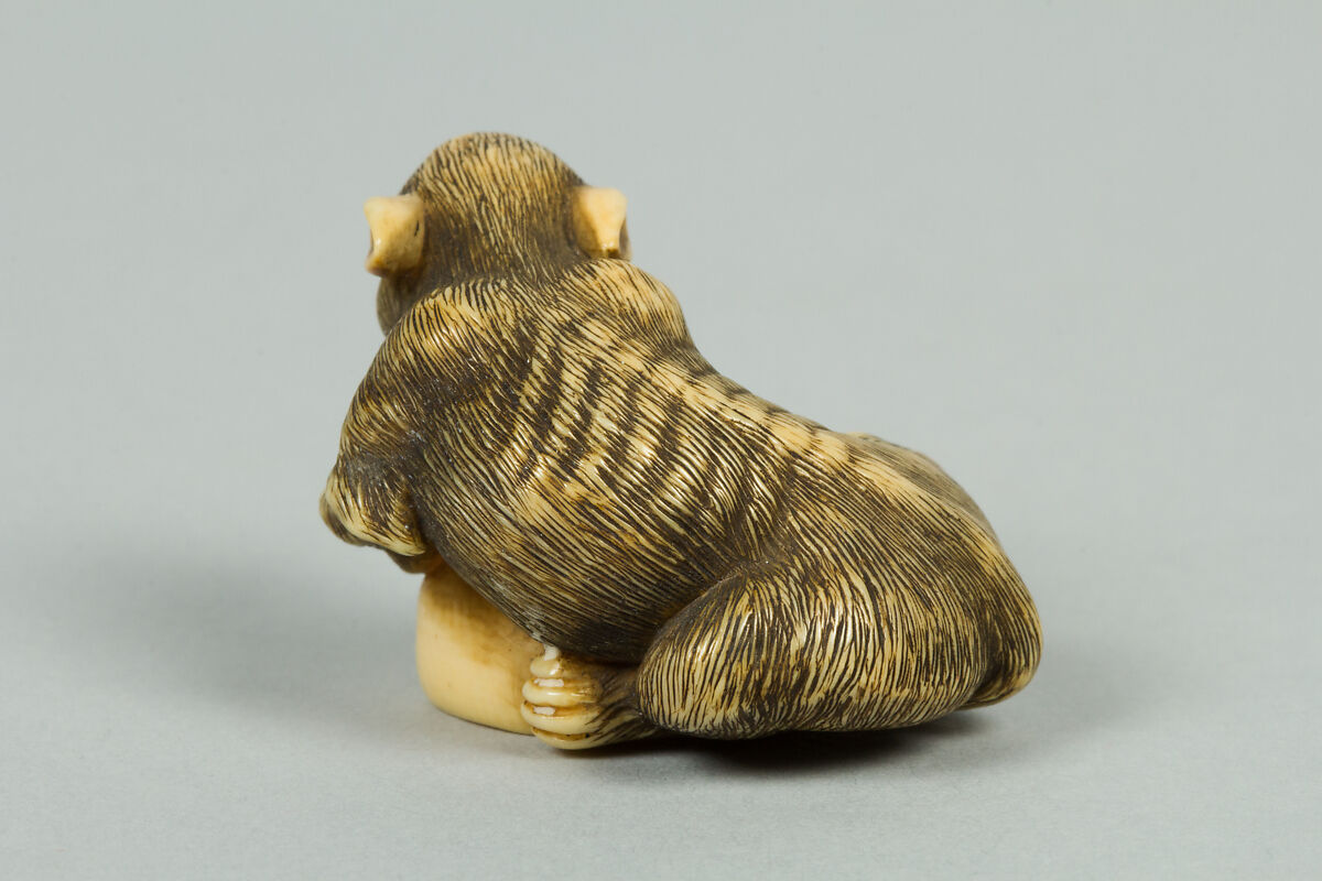 Netsuke of Boar with a Human Skull, Ivory, Japan
