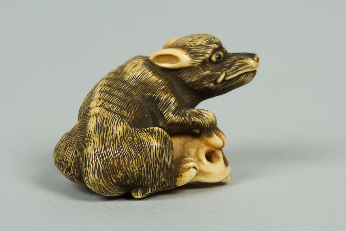 Netsuke of Boar with a Human Skull, Ivory, Japan