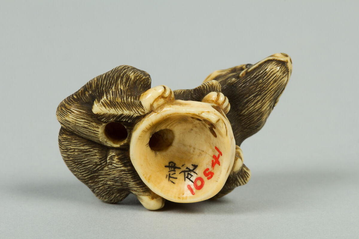Netsuke of Boar with a Human Skull, Ivory, Japan