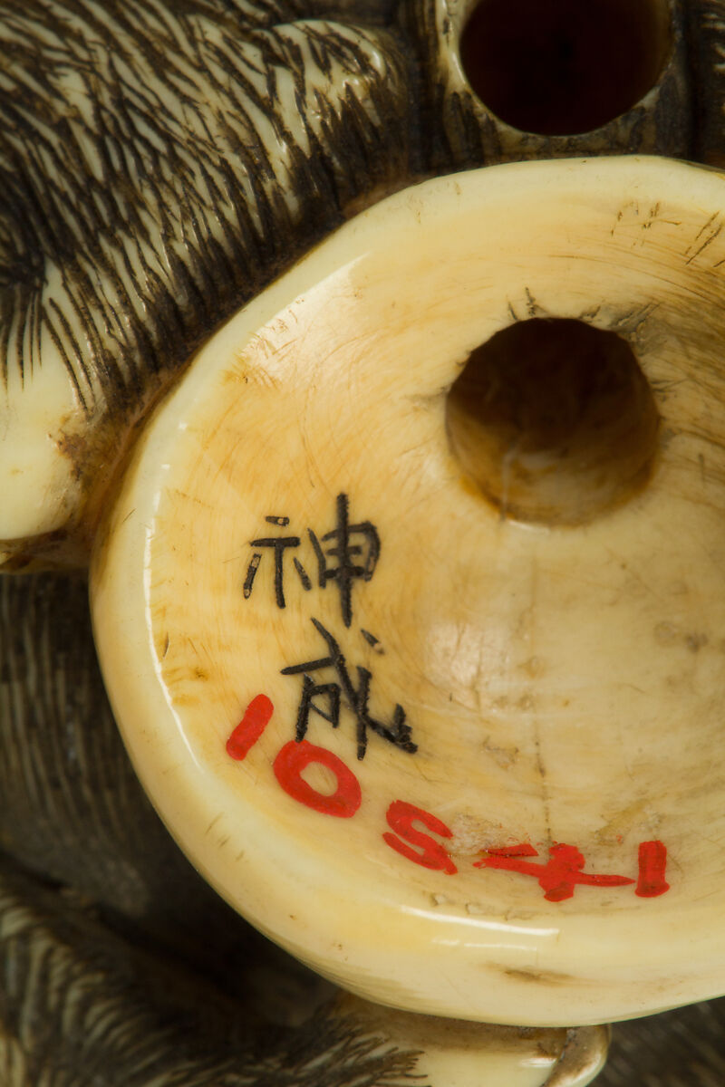 Netsuke of Boar with a Human Skull, Ivory, Japan
