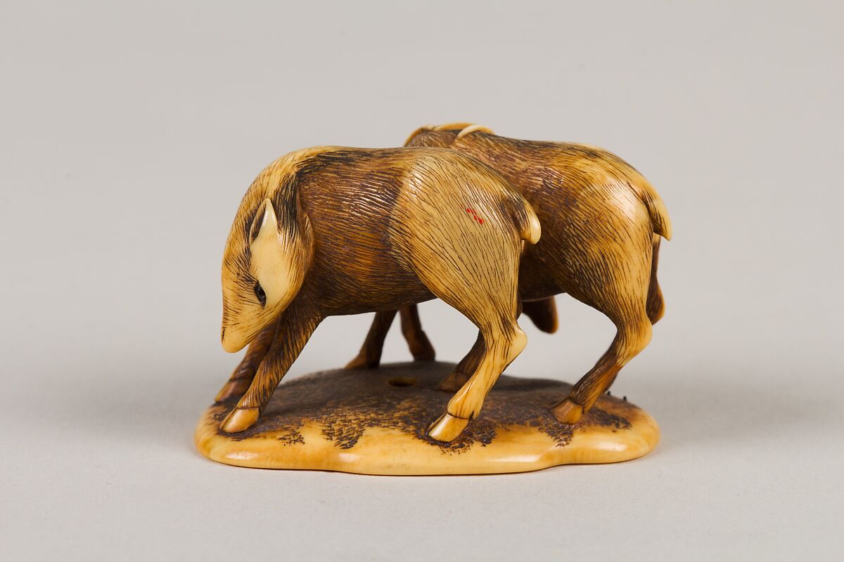 Netsuke of Two Deer, Ivory, Japan