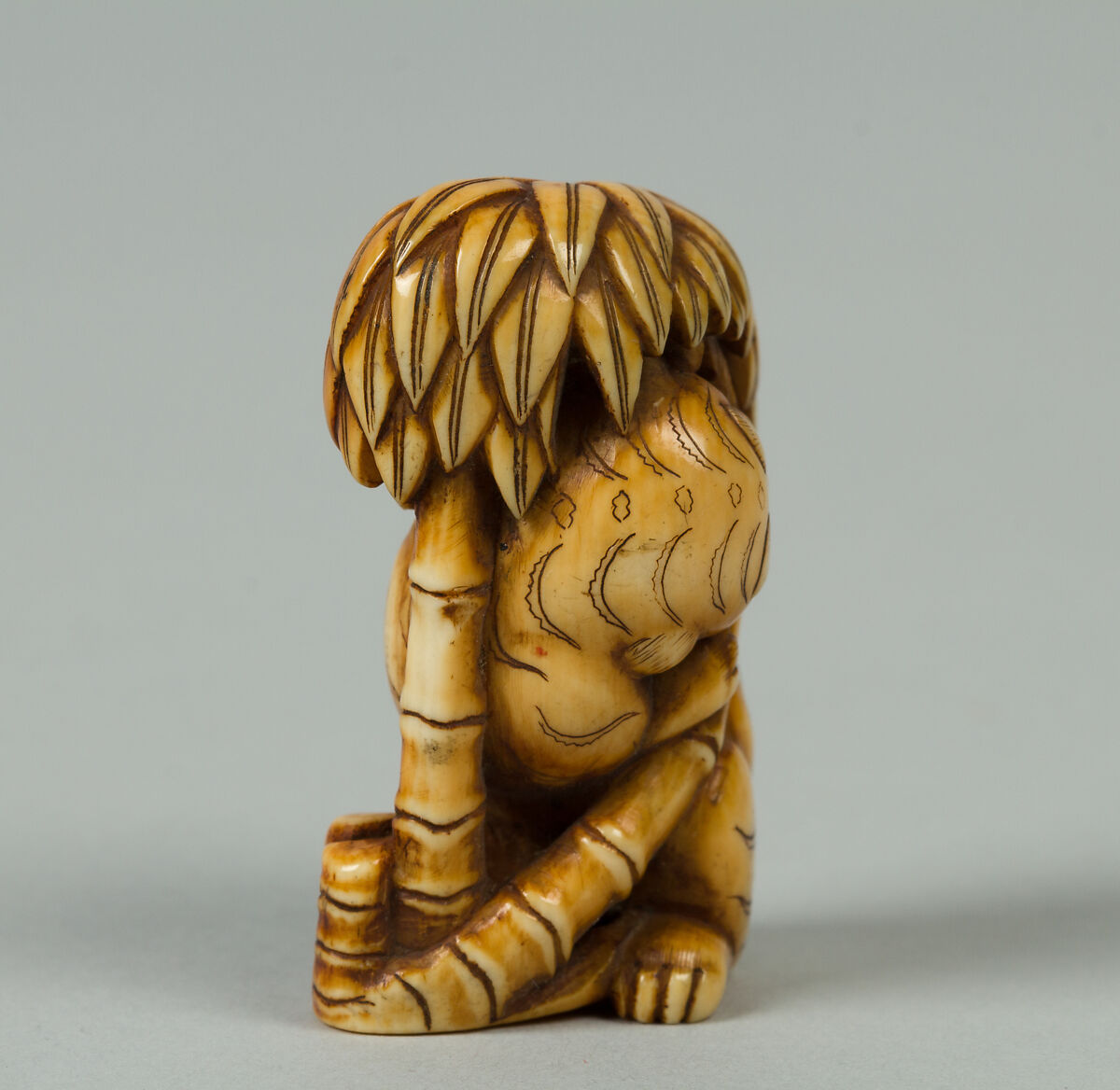 Netsuke of Tiger under a Bamboo Tree, Ivory, Japan