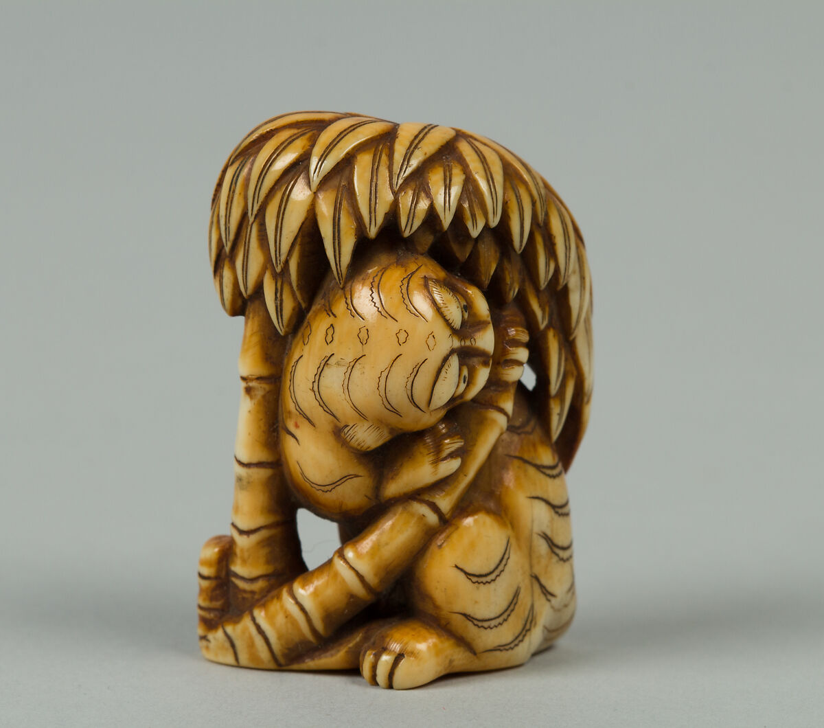 Netsuke of Tiger under a Bamboo Tree, Ivory, Japan