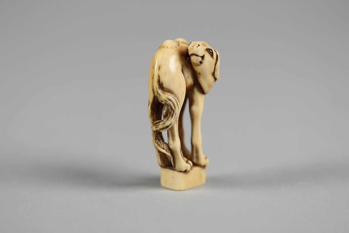 Netsuke of a Camel, Ivory, Japan