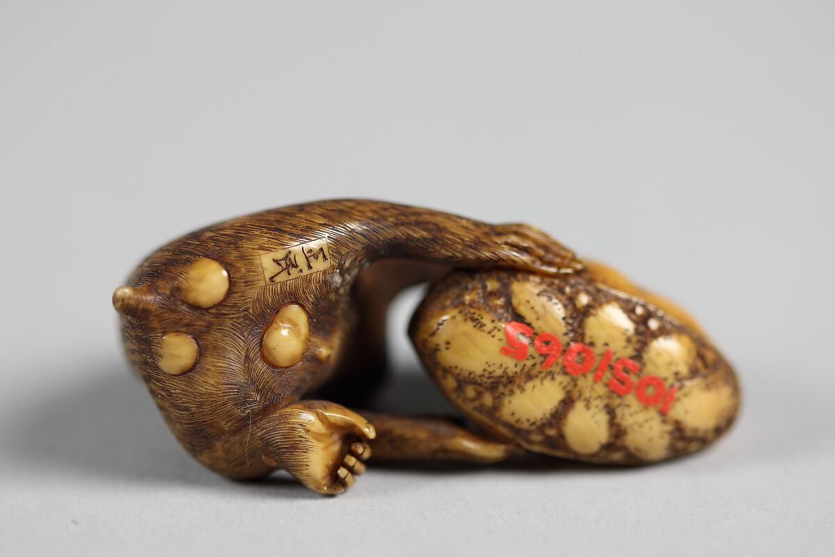 Netsuke of Monkey with a Chestnut, Ivory, Japan