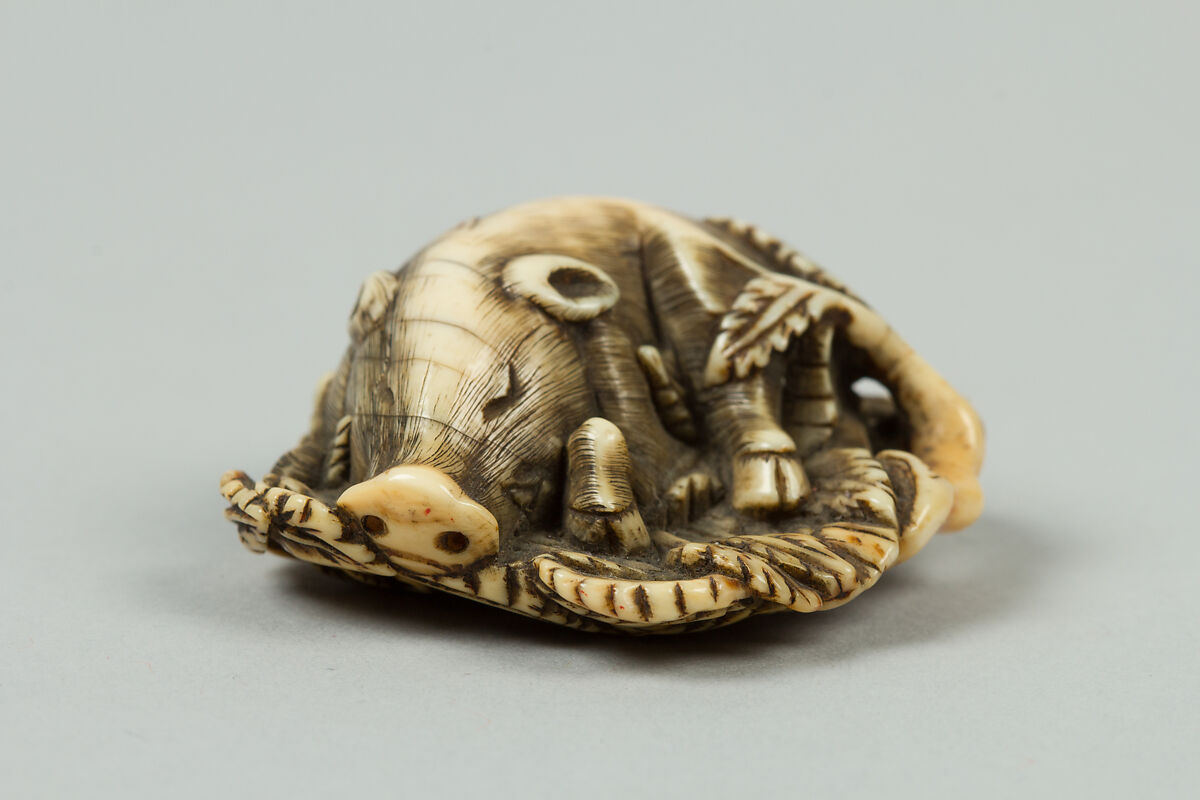 Netsuke of Sleeping Boar, Ivory, Japan