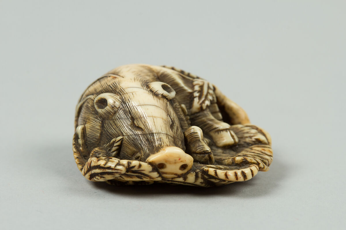 Netsuke of Sleeping Boar, Ivory, Japan