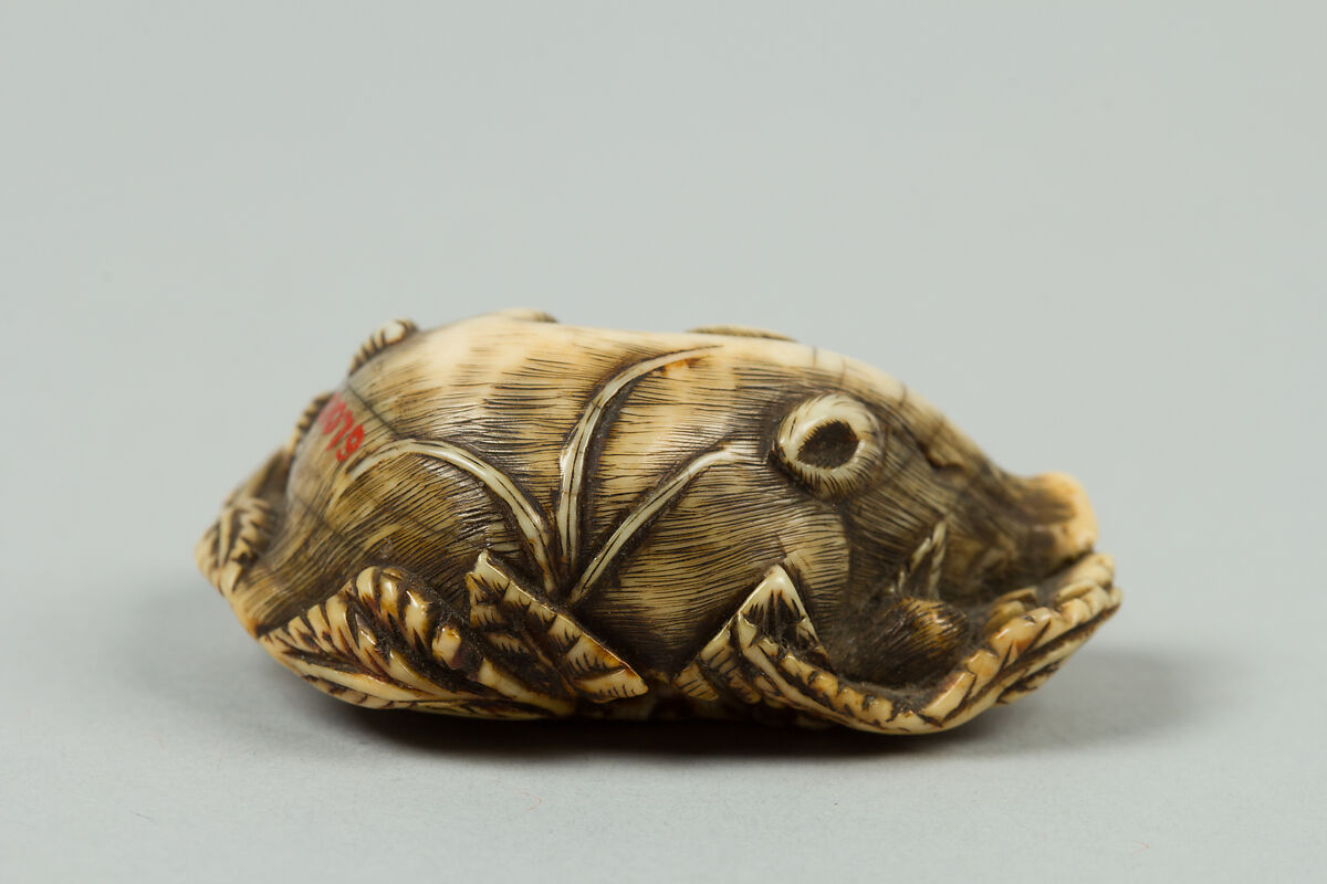 Netsuke of Sleeping Boar, Ivory, Japan