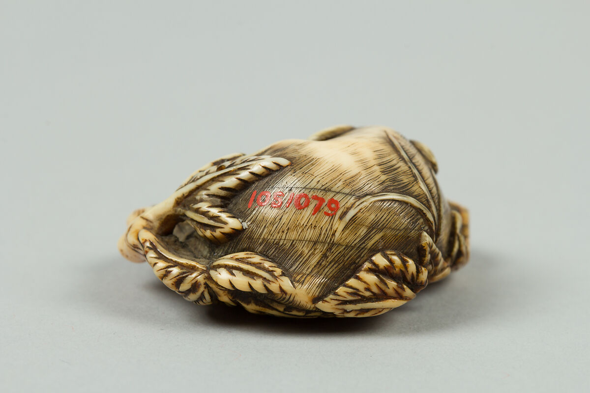 Netsuke of Sleeping Boar, Ivory, Japan