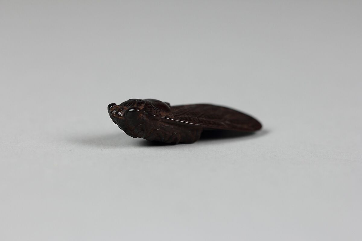 Netsuke of Cicada, Wood, Japan
