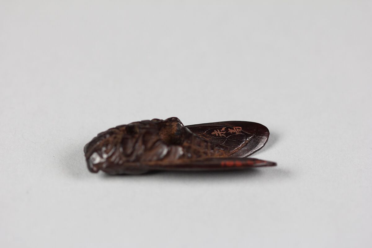 Netsuke of Cicada, Wood, Japan