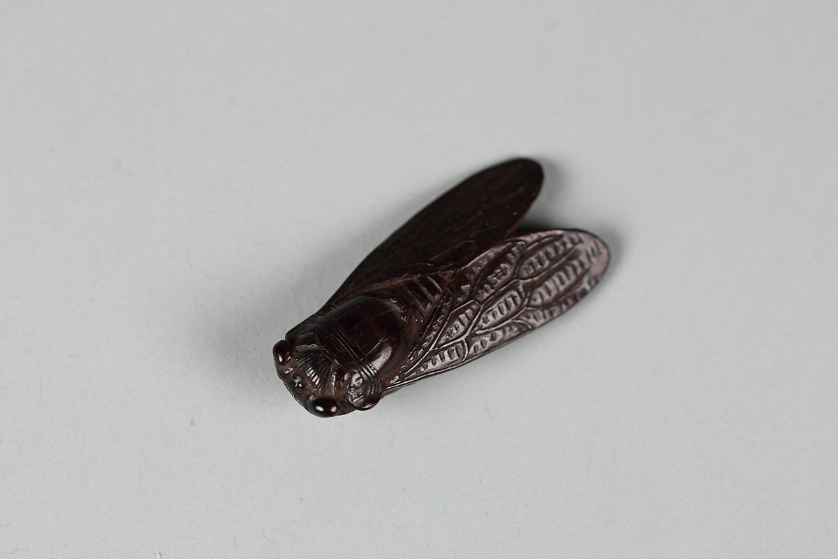 Netsuke of Cicada, Wood, Japan 