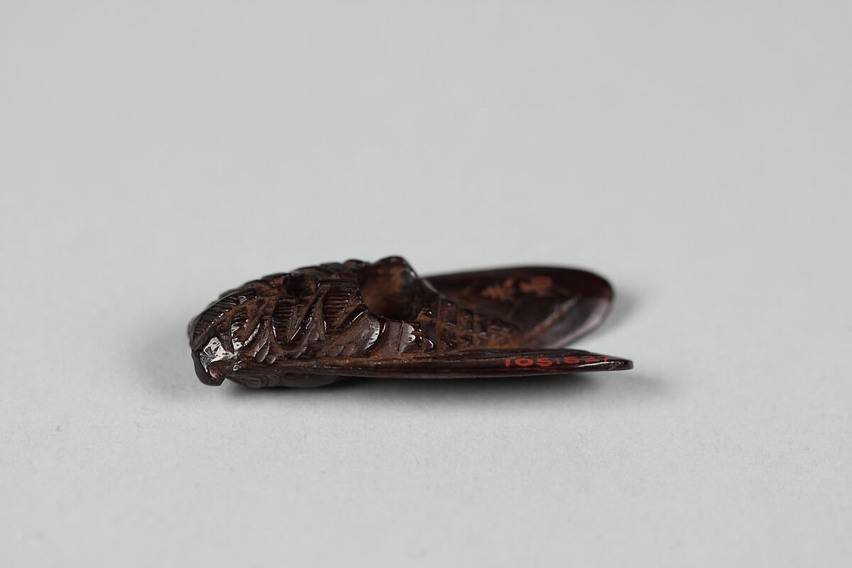 Netsuke of Cicada, Wood, Japan