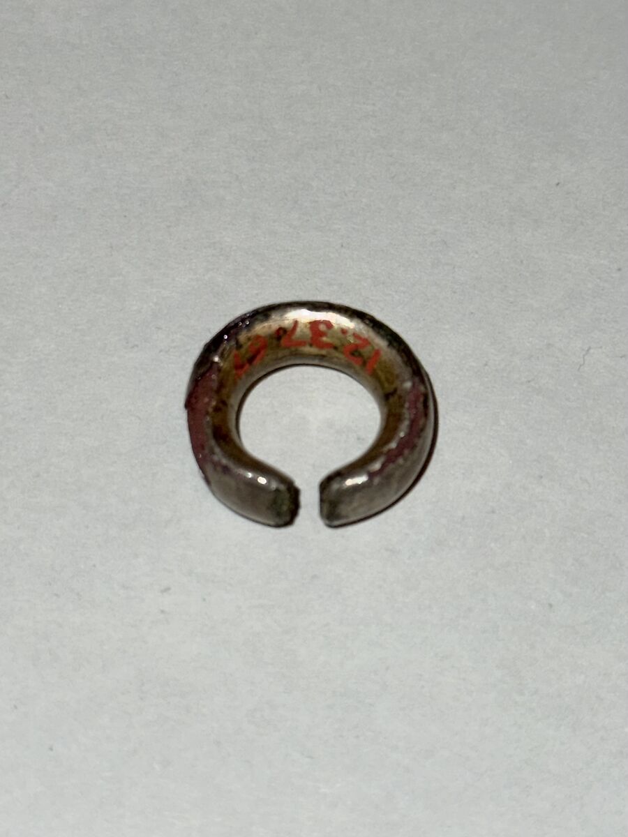 Earring, Plated, Japan