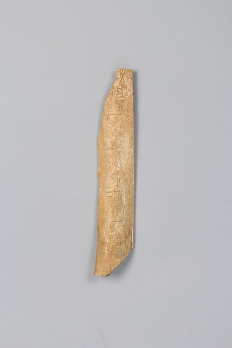 Oracle bone