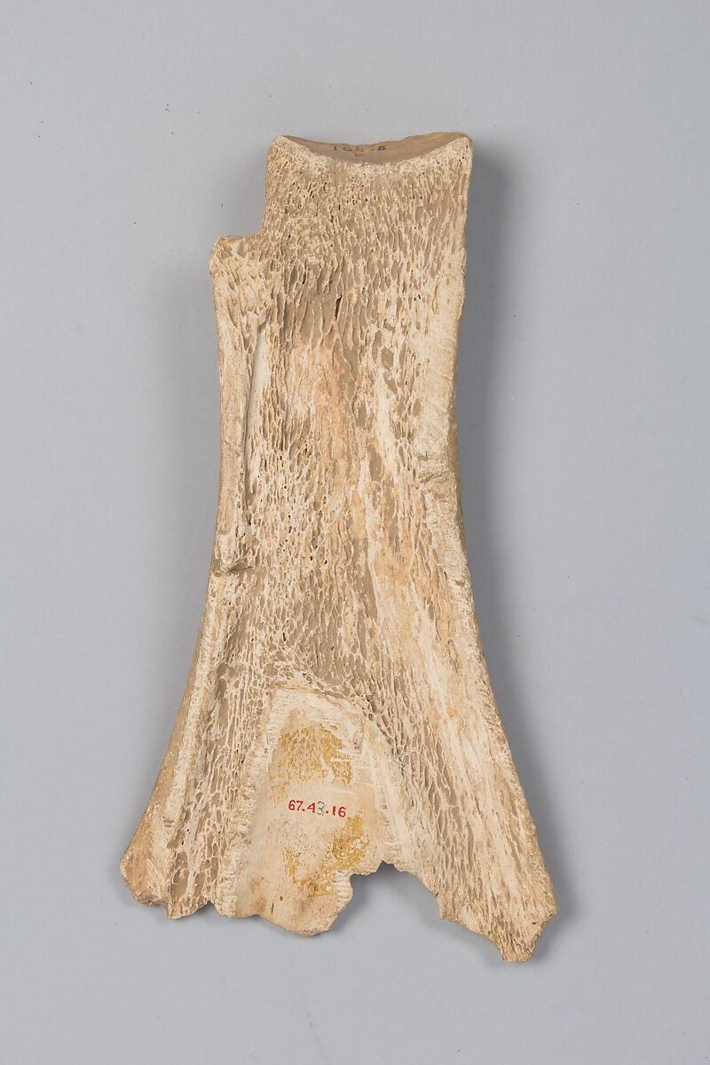 Oracle bone, Inscribed bone, China