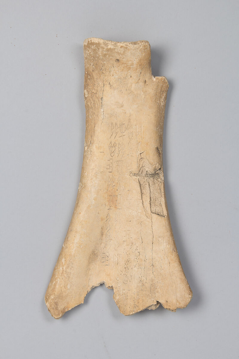Oracle bone, Inscribed bone, China 