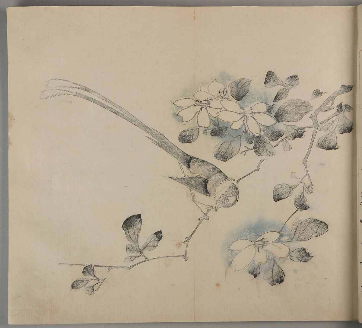 Ten Bamboo Studio, Six volumes of woodblock-printed books; ink and color on paper, China