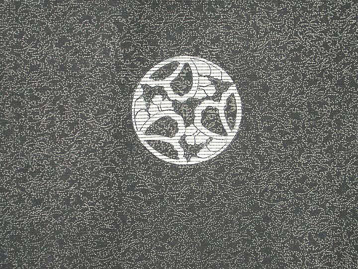 Robe (Kosode) with Ferns, Gauze-weave silk with stencil-dyeing, Japan