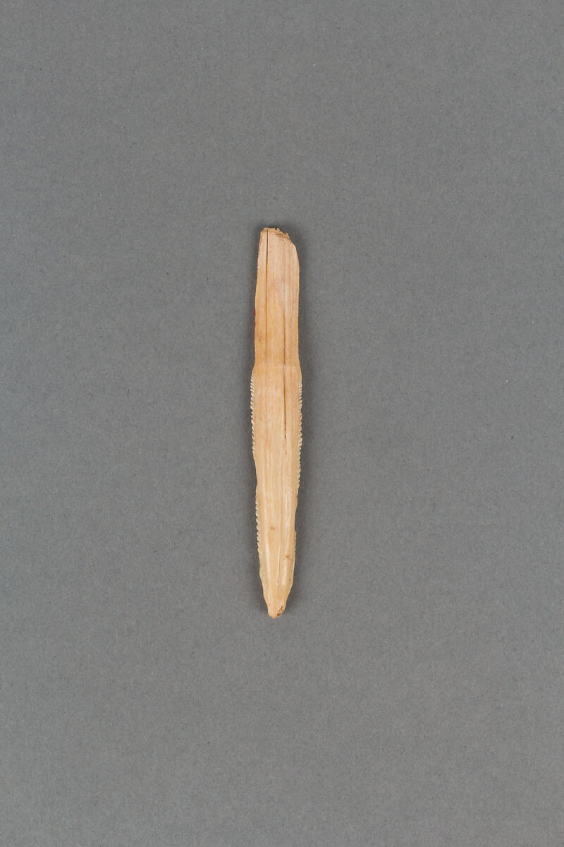 Harpoon head, Bone, Japan