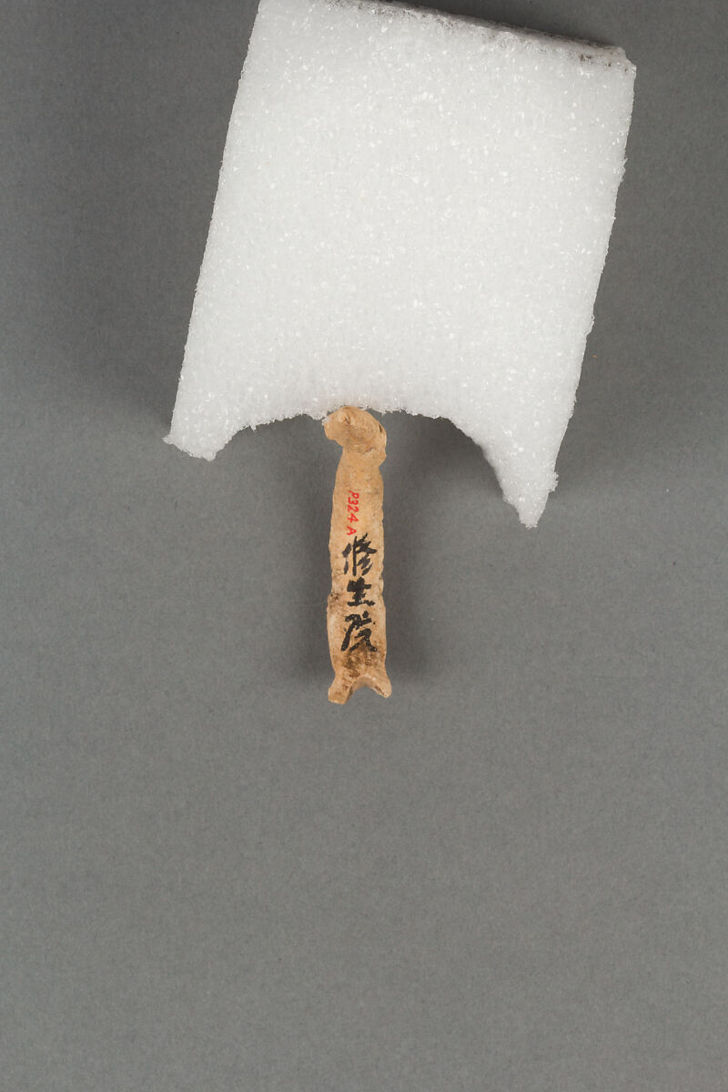 Fish hook, Bone, Japan