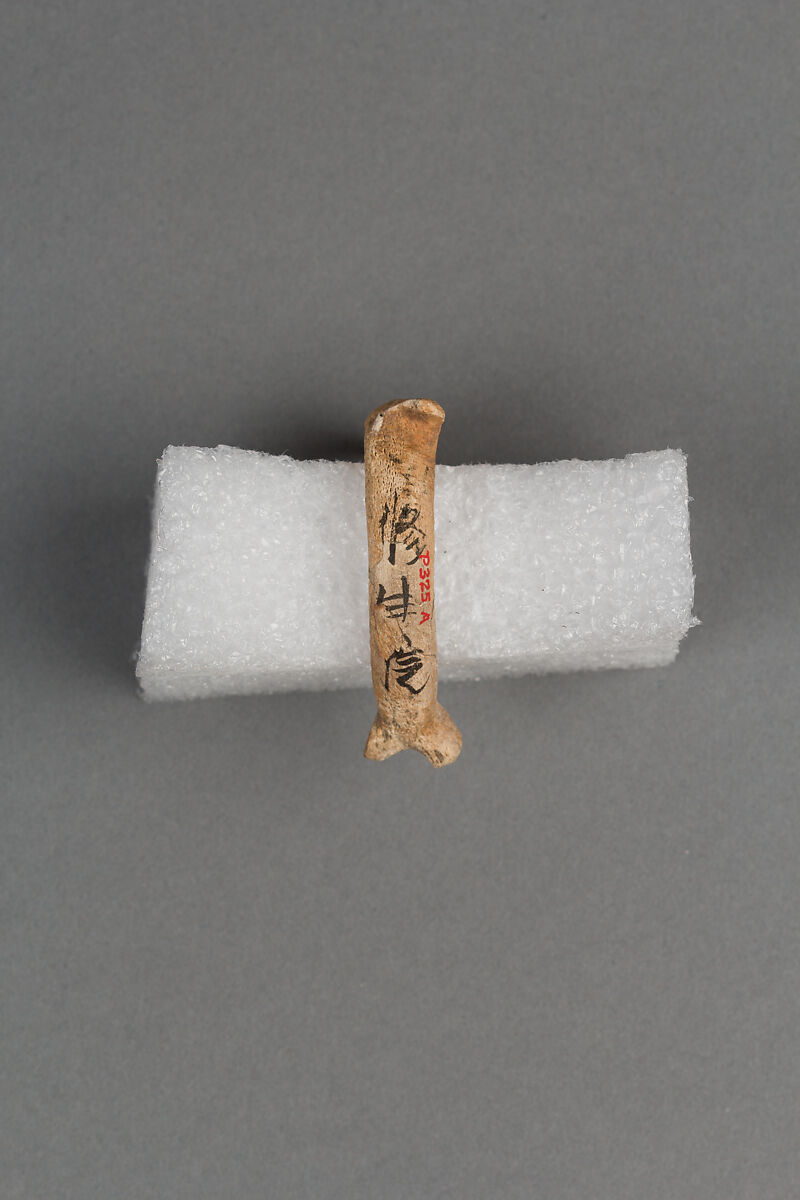 Fish hook, Bone, Japan