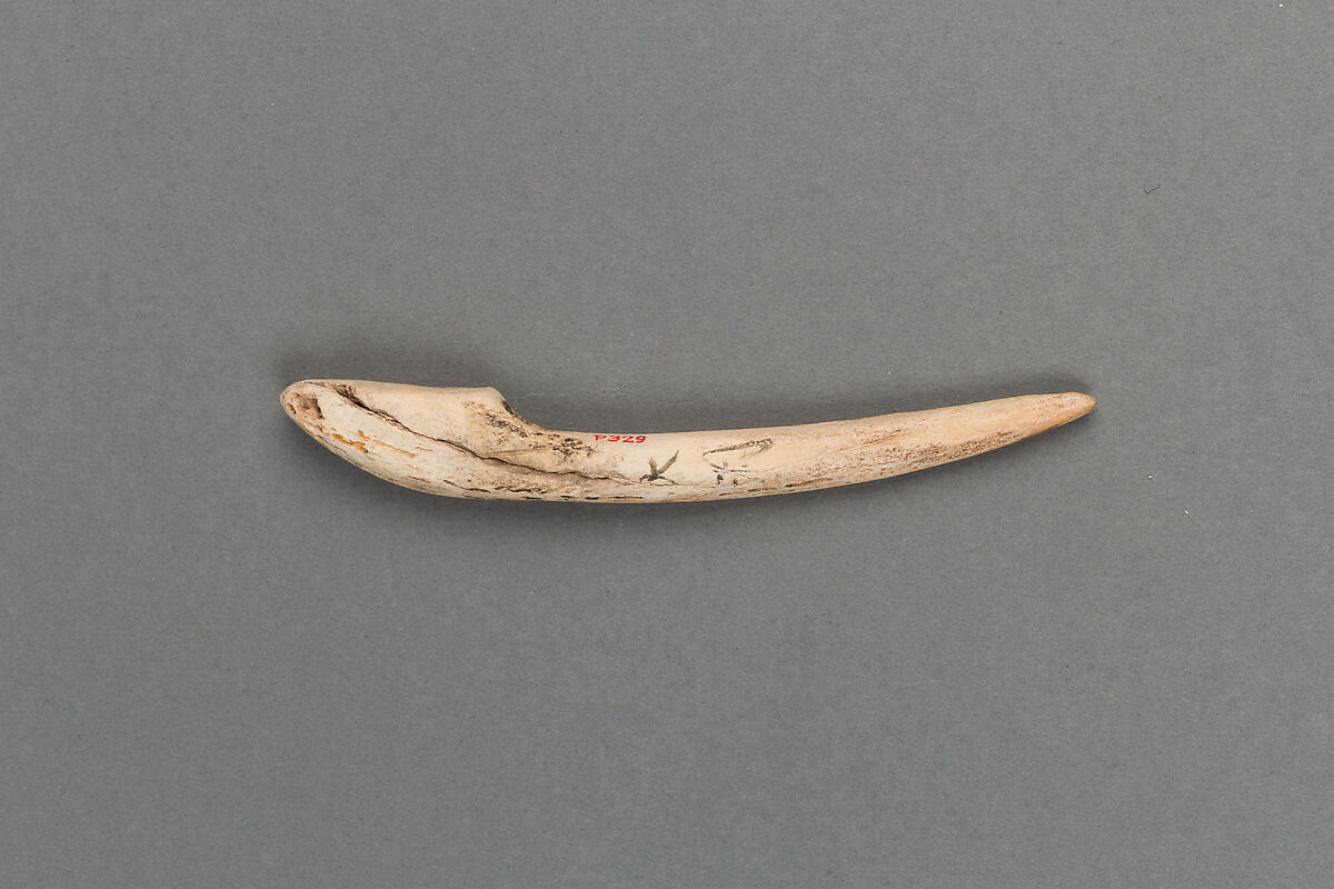 Harpoon head, Bone, Japan 