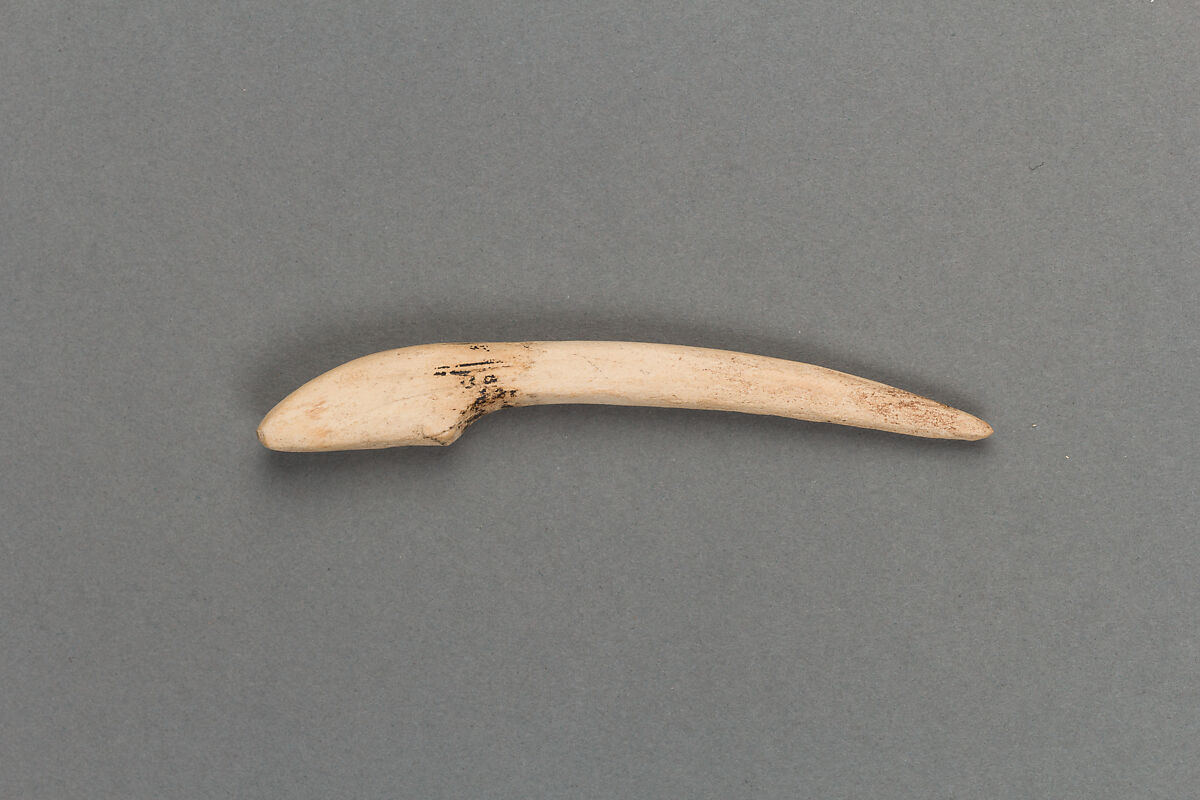 Harpoon head, Bone, Japan