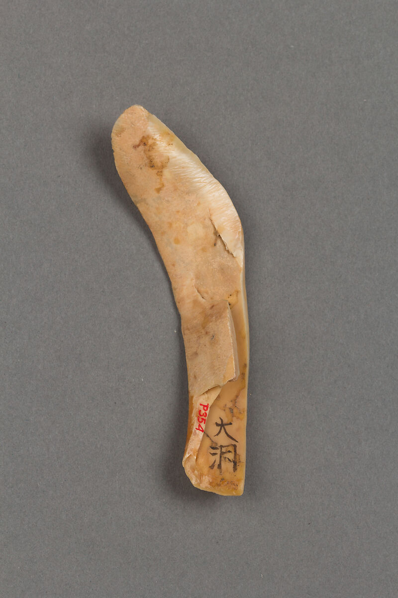 Arrowheads, needles, hooks and harpoons, Bone, Japan 